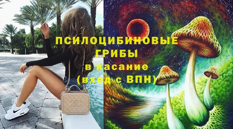 Псилоцибиновые грибы MAGIC MUSHROOMS  даркнет сайт  Тарко-Сале 